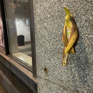 Meet your Posher, Phillip